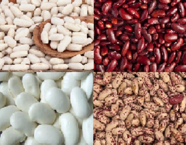 Alubias Natur Product comercializa alubias de gran calidad de diversas variedades