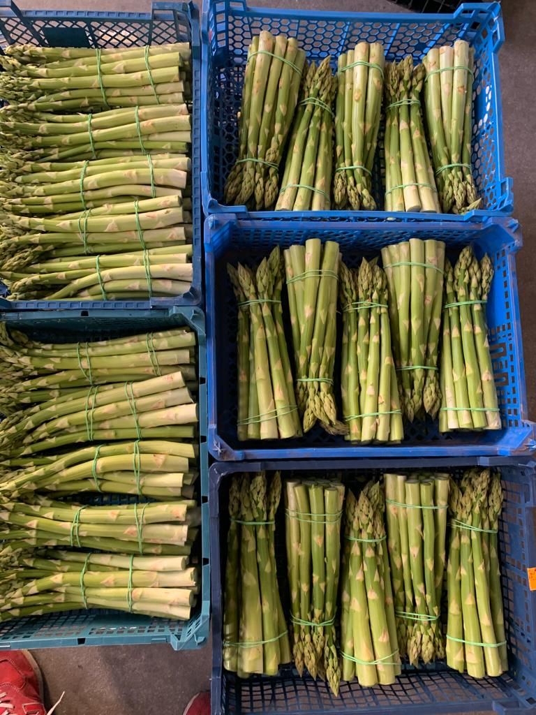 Venta de espárragos blancos y verdes