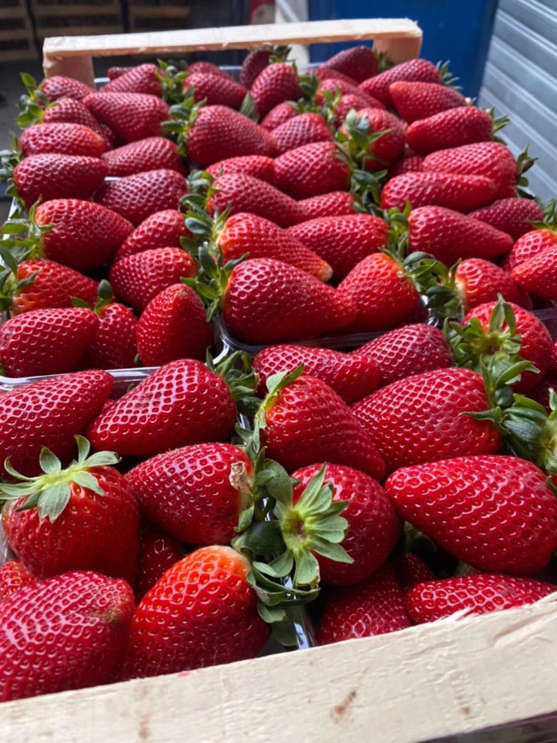 Fresas de Albani