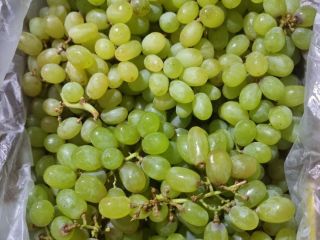 Vendo Uvas para jugos, conservas, alcoholes, etc. Grandes cantidades.