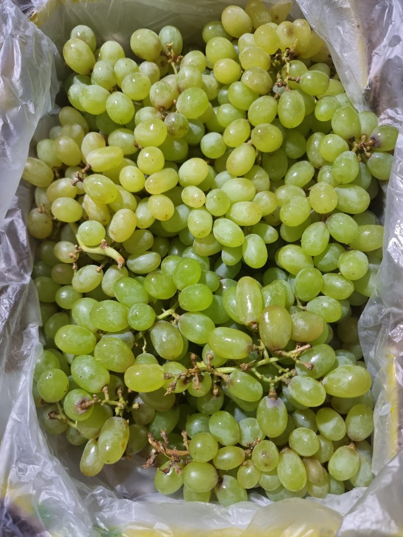 Vendo Uvas para jugos, conservas, alcoholes, etc