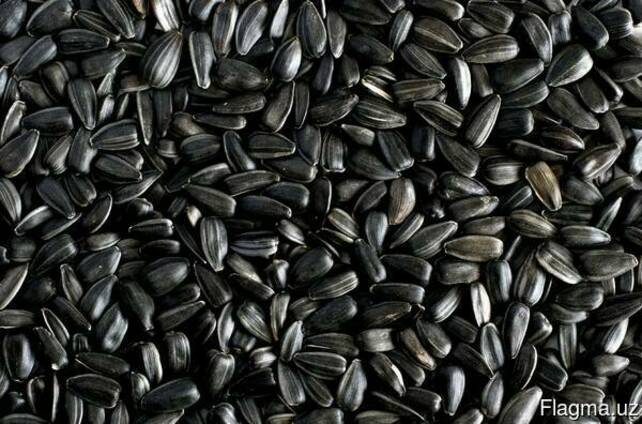 Venta de semillas de girasol para la producción de aceite