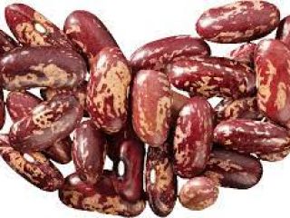 Vendemos los frijoles de alta calidad con la entrega
