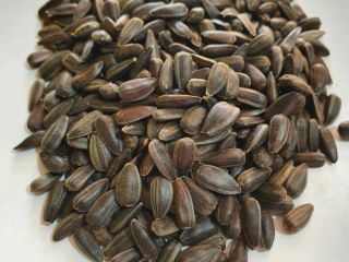 Comino negro de girasol, oleína. 99% de pureza. Origen