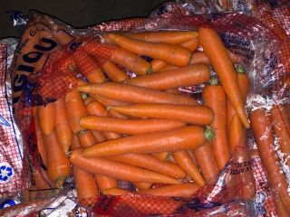 zanahorias nuevas