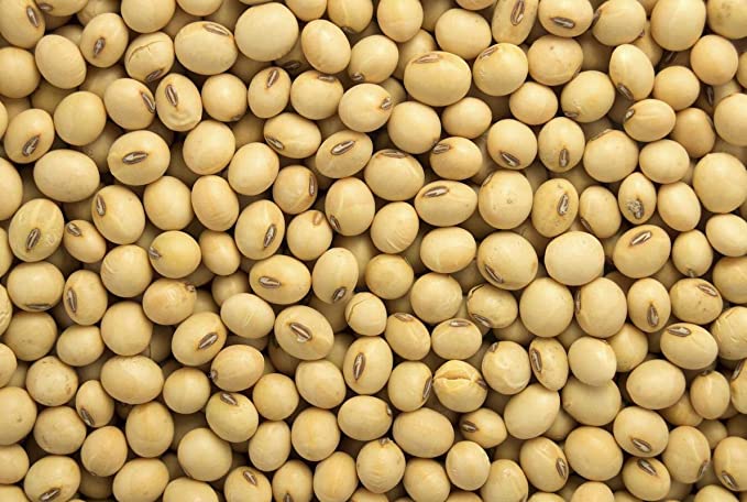 Semilla de soja de primera calidad a precio de mayorista Somos uno de los principales exportadores de soja, alimentos y productos breverages