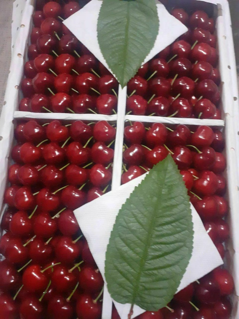 Cereza dulce de Uzbekistán