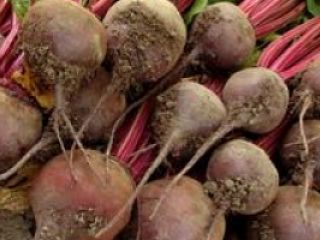 Una fábrica de conservas compra 50 toneladas de remolacha