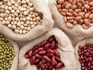 La empresa ucraniana Beans Natur Product vende frijoles de