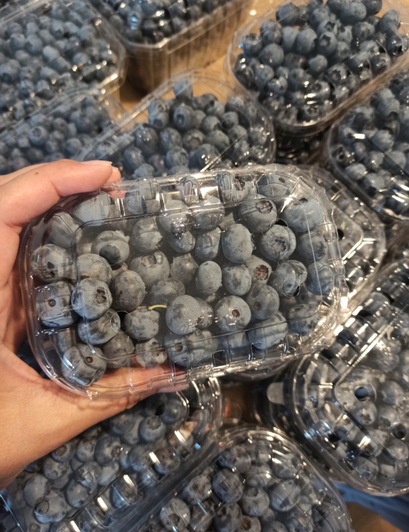 Vendo arándanos de julio a septiembre, cinco variedades, dulces, la cosecha semanal es de unos 150-200 kg