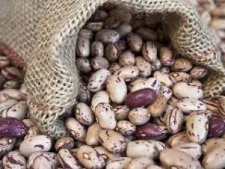 La empresa ucraniana Beans Natur Product vende frijoles de
