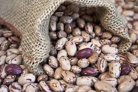La empresa ucraniana Beans Natur Product vende frijoles de diferentes variedades