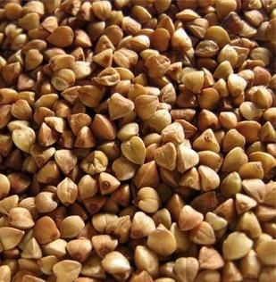 Semillas de trigo sarraceno al por mayor