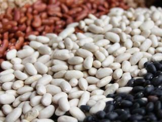 La empresa compra frijoles para procesamiento. Cualesquiera variedades y