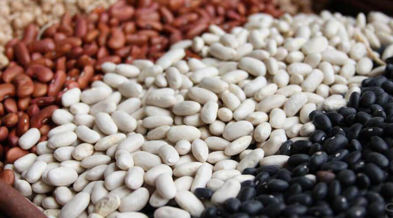 La empresa compra frijoles para procesamiento