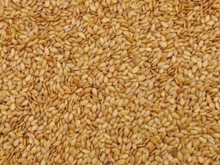 Venta de productos de cereales ucranianos en grandes cantidades: