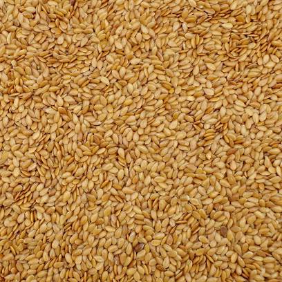 Venta de productos de cereales ucranianos en grandes cantidades: maíz 11 35 PLN / t, girasol 2732 PLN / t, trigo de clase 2 1625 PLN / t, lino de oliva 4,792