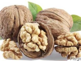 Compraré nueces peladas y enteras. Toda la gama. Volúmenes