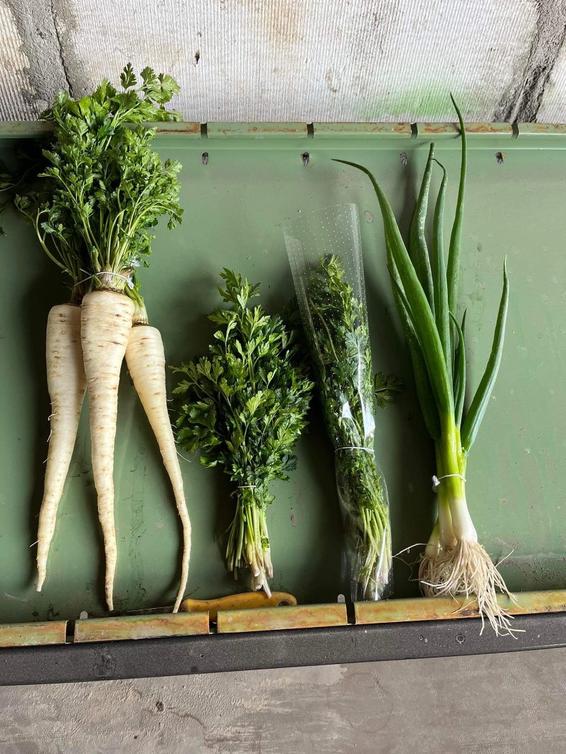Venta de verduras frescas DEL PRODUCTOR, cebolla, perejil, eneldo