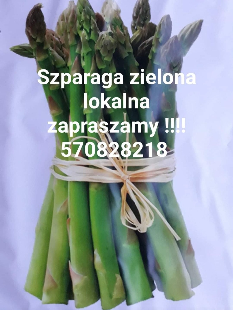Vendo espárragos verdes frescos