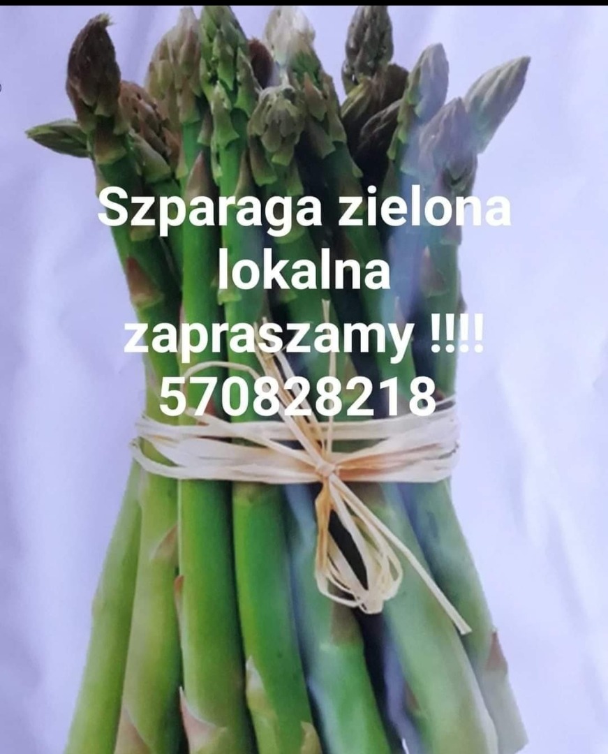 Venderé espárragos verdes de mi propia finca