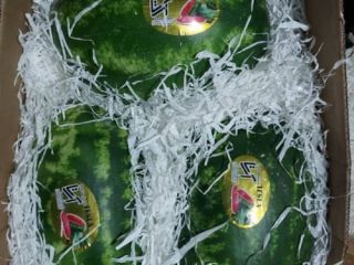 Tenemos a la venta una sandía de importación de