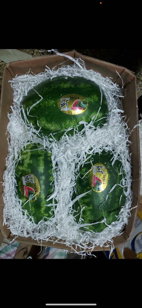 Tenemos a la venta una sandía de importación de súper calidad