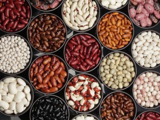 La empresa compra frijoles para procesamiento. Cualesquiera variedades y