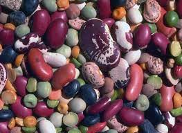 Frijoles rojos al por mayor, frijoles blancos con entrega de Ucrania