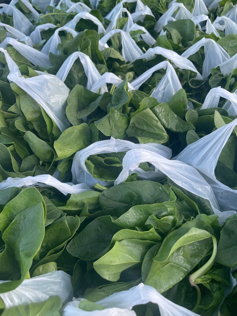 Venderé espinacas orgánicas de producción propia, no fumigadas