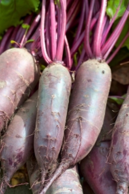 ¡Venderé una gran cantidad de remolacha variedad alto!