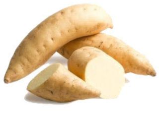 Obtenemos nuestras batatas de pulpa seca blanquecina de granjas