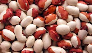 Frijoles para procesamiento