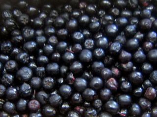 Venderé frutas de chokeberry de cultivos convencionales y de