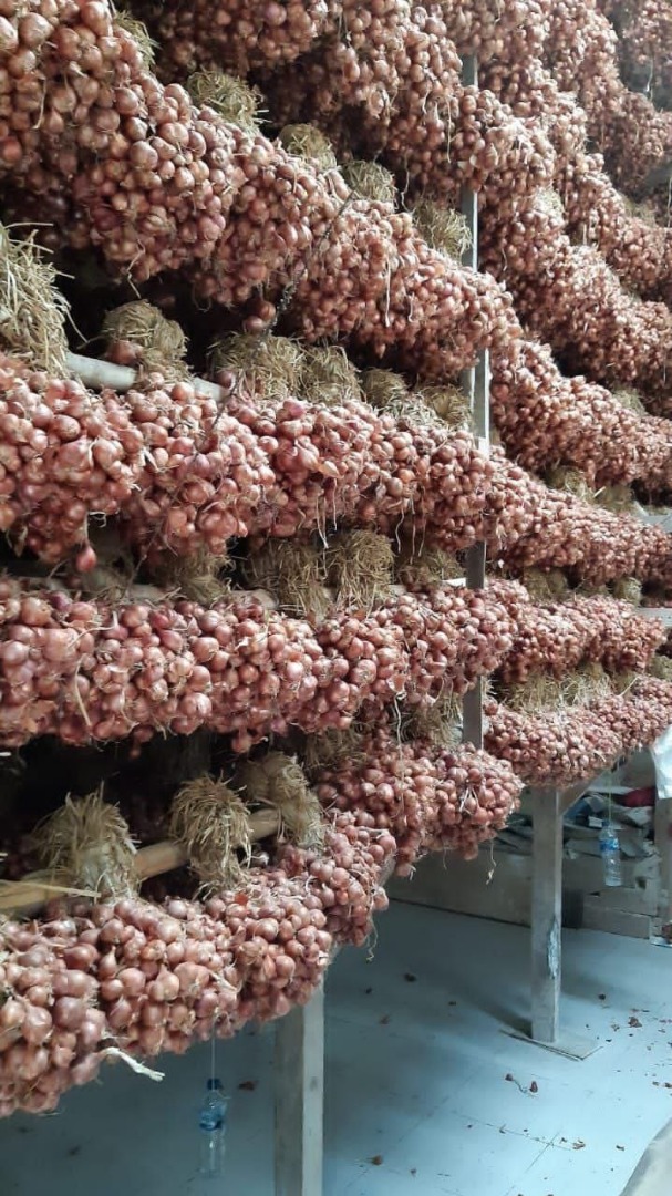 Suministramos cebolla de la mejor calidad, tenemos existencias disponibles y listas para suministrar a cualquier país, precio de cebolla roja y cebolla marrón