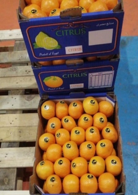 Tenemos limón, lima, cítricos en stock, carga de contenedor de hasta 40 pies, precio CIF Podemos realizar envíos a cualquier país..