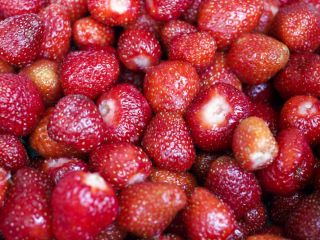 Buscamos comprar fresas frescas sin tallo al por mayor,