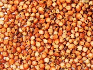 Venta de maiz, colza, sorgo, girasol desde 20 toneladas