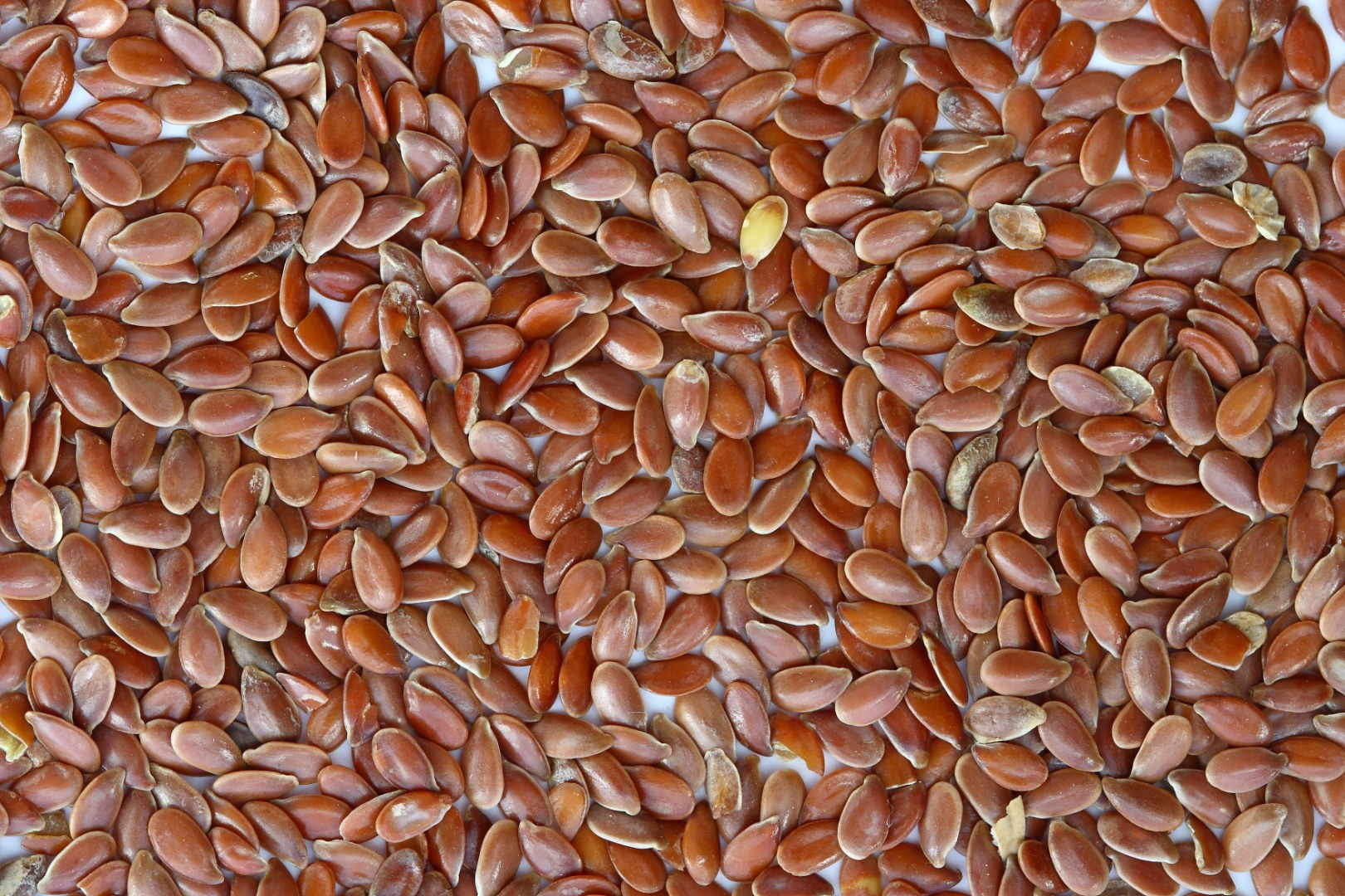 Estamos vendiendo lino marrón de alta calidad (tienen 110 t.), colza (tienen 180 t.), soja (tienen 1000 t.) cultivados en Ucrania, con sede en Polonia
