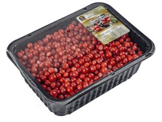 Arándanos frescos a la venta en la temporada de