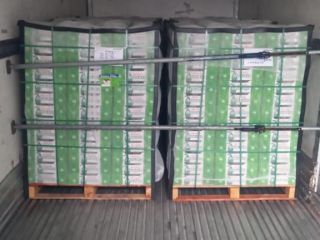AGUACATE BIO variedad de producto: HASS origen: México cosechado