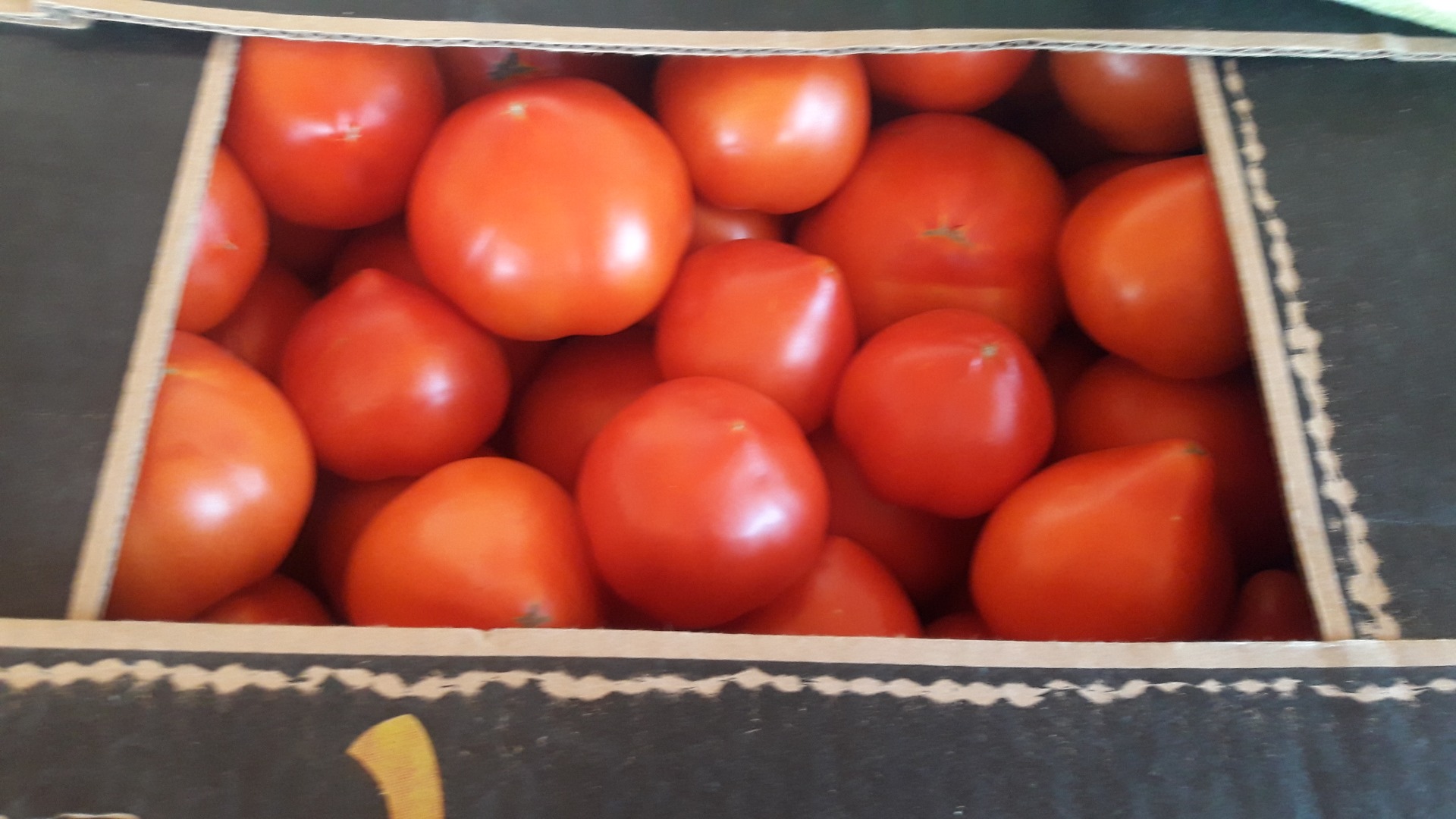 Tomates apostados y precos