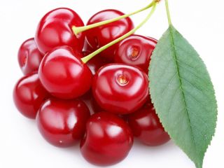 Venta de cerezas agrias frescas. La variedad Oblacinska, el