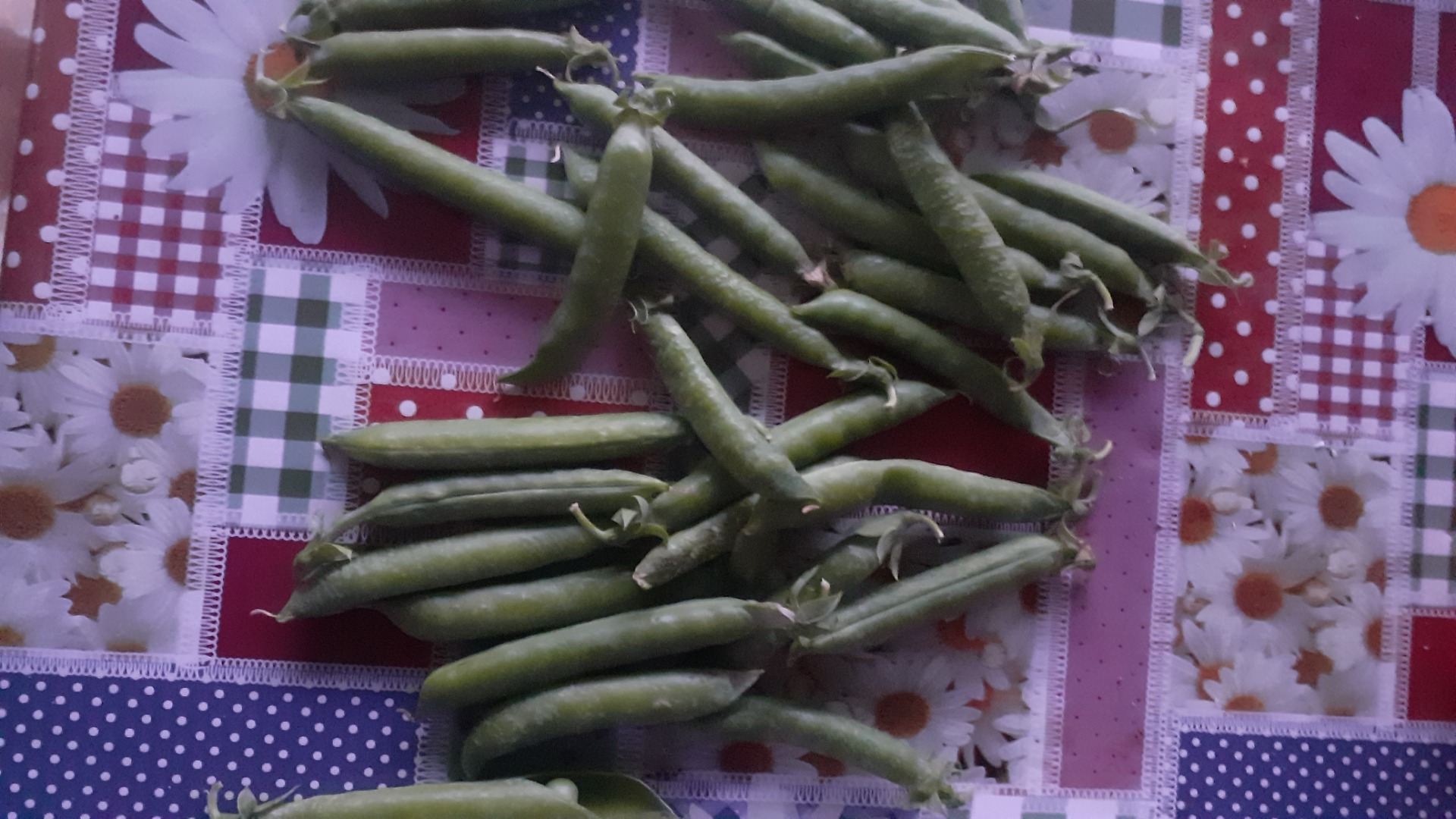 Guisantes dulces