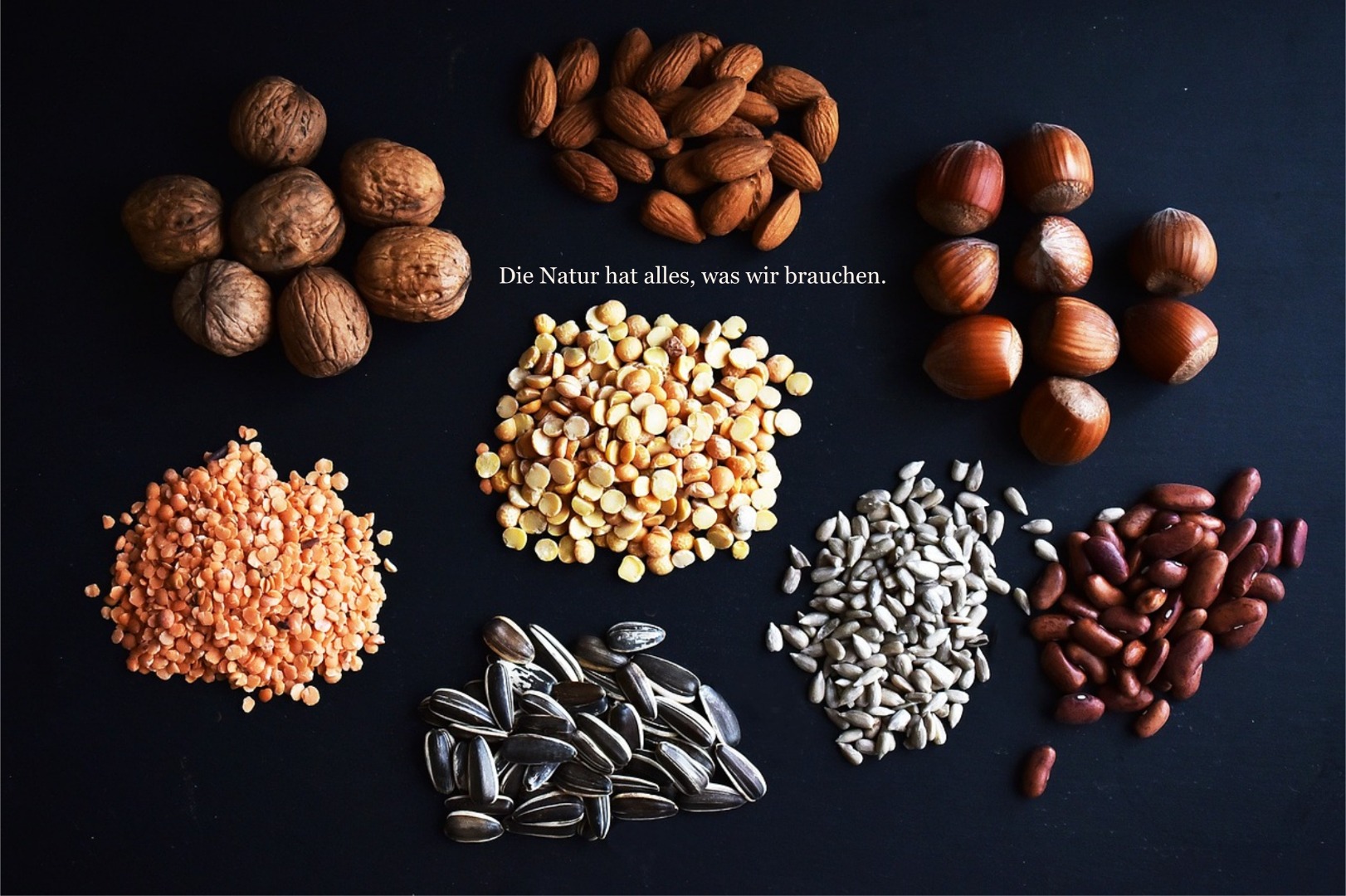 Nuestra empresa es proveedor directo de productos alimenticios de Europa del Este con calidad probada y garantizada según estándares europeos