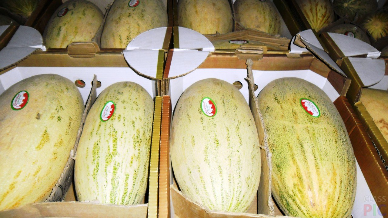 Queridos amigos, les ofrezco melón dulce de Uzbekistán a precio comparativo