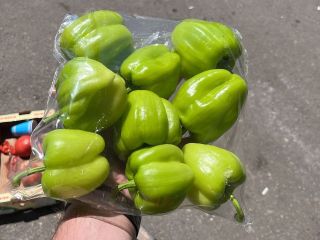 Pimienta verde de Cracovia de Irán, Turquía, Uzbekistán La