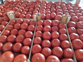 calidad premium --- EXPORTACIÓN Información en Viber, Whatsapp