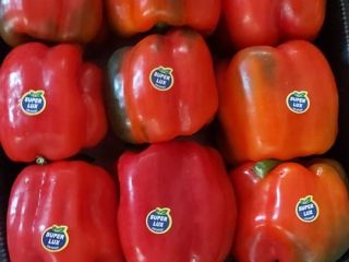 Pimiento rojo de CALIFORNIA. - 8,00 PLN / KG