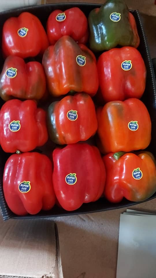 Pimiento rojo de CALIFORNIA